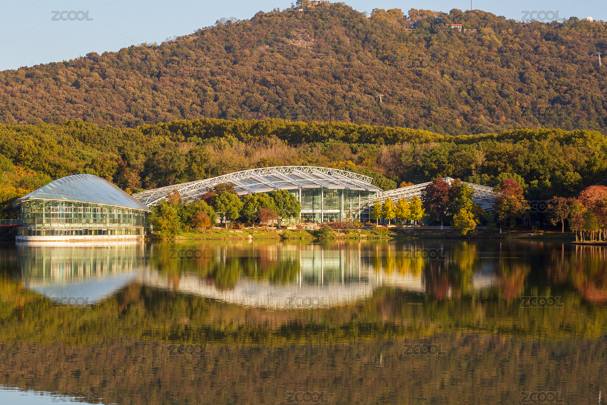 南京中山植物園前湖秋色（主預(yù)覽-6374255） - 未分類 - 站酷設(shè)計師核桃蘇本蘇原創(chuàng)素材 - 站酷ZCOOL