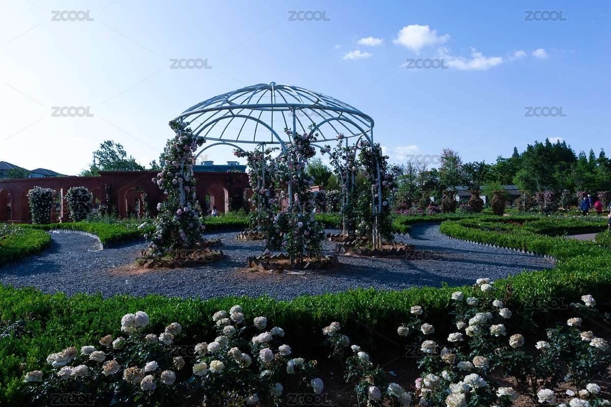 中國(guó)云南昆明大觀樓公園月季園園林景觀（主預(yù)覽-8852708） - 未分類 - 站酷設(shè)計(jì)師原野三月原創(chuàng)素材 - 站酷ZCOOL