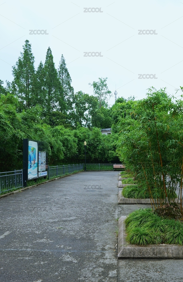 公園里的小路和健步道 上海三泉公園（主預(yù)覽-10679728） - 未分類 - 站酷設(shè)計(jì)師ZZIjpC7sob原創(chuàng)素材 - 站酷ZCOOL