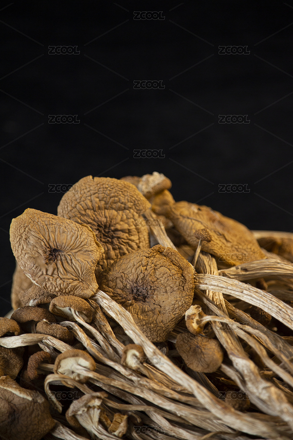 干貨茶樹(shù)菇（主預(yù)覽-2494299） - 未分類(lèi) - 站酷設(shè)計(jì)師夕安_CA原創(chuàng)素材 - 站酷ZCOOL