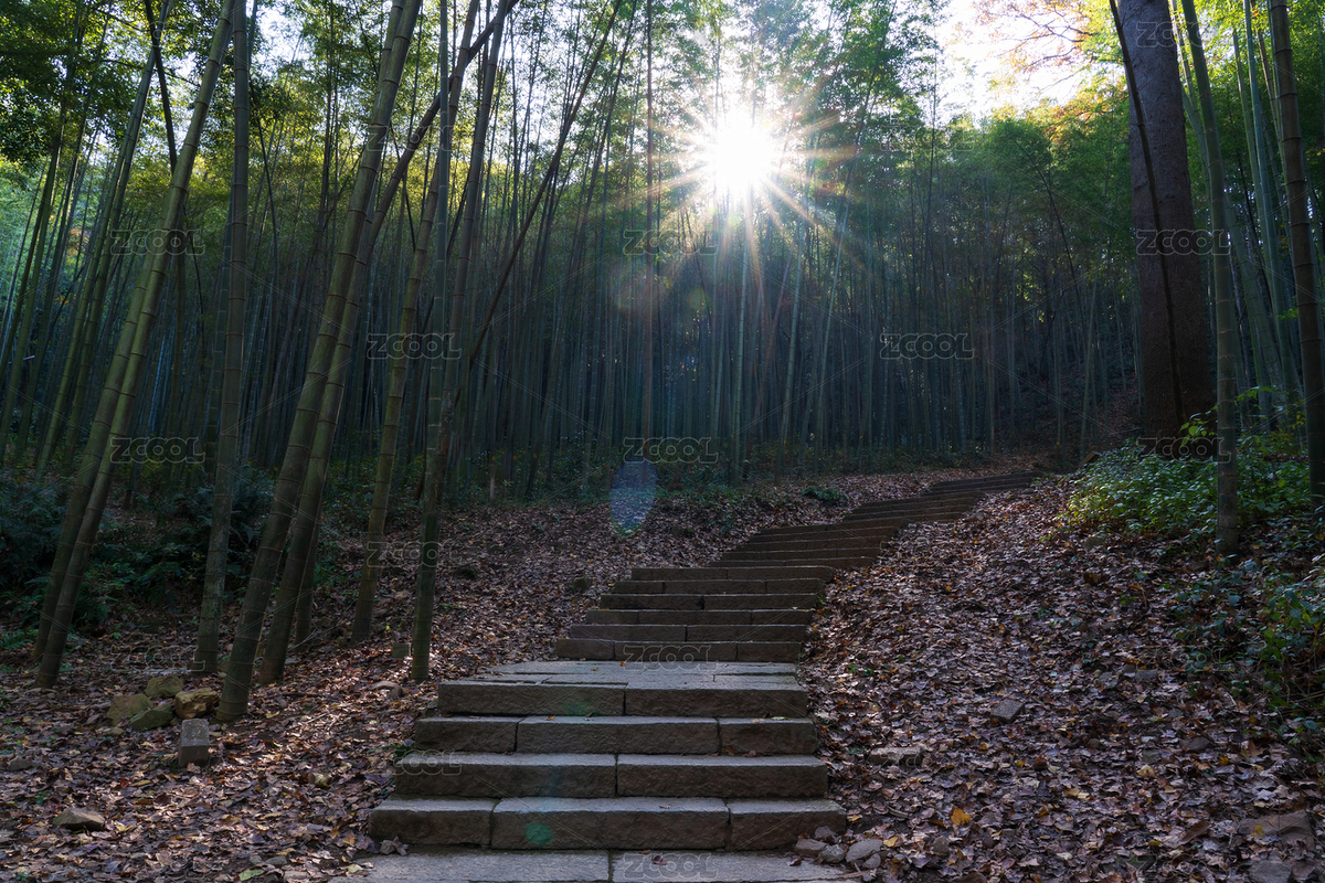中國(guó)浙江省杭州市西湖著名景點(diǎn)云溪竹徑風(fēng)光（主預(yù)覽-8232186） - 未分類 - 站酷設(shè)計(jì)師Z26302855原創(chuàng)素材 - 站酷ZCOOL