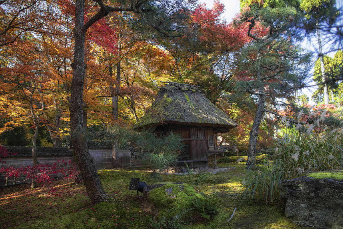 日本京都松山花園庭院的秋季風(fēng)光（主預(yù)覽-12615431） - 未分類 - 站酷設(shè)計(jì)師攝影師北川原創(chuàng)素材 - 站酷ZCOOL