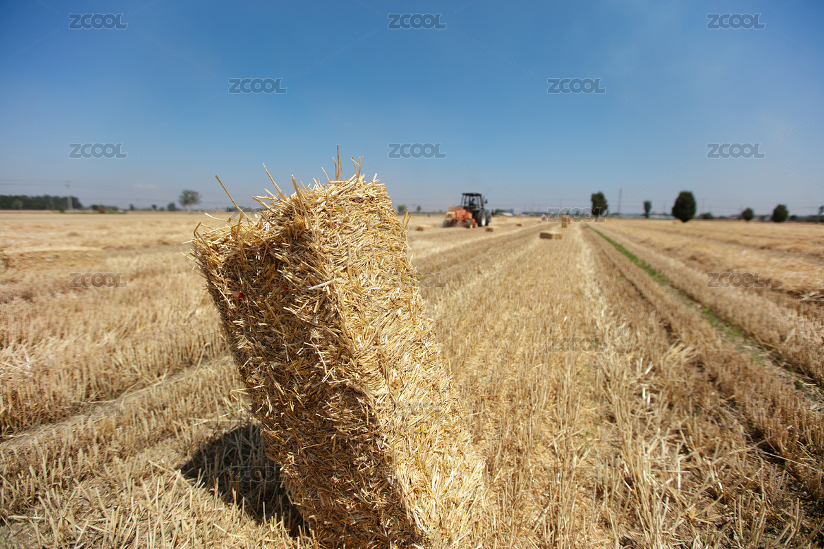 收割后的麥田里麥秸機(jī)械打包成捆（主預(yù)覽-5247725） - 未分類 - 站酷設(shè)計(jì)師小羽怪原創(chuàng)素材 - 站酷ZCOOL