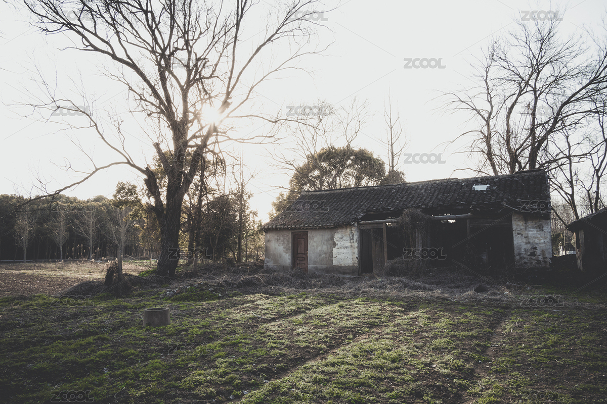 鄉(xiāng)村農(nóng)村農(nóng)田耕地枯樹破瓦房鬼屋枯井日光照（主預(yù)覽-4670678） - 未分類 - 站酷設(shè)計師姚璇原創(chuàng)素材 - 站酷ZCOOL