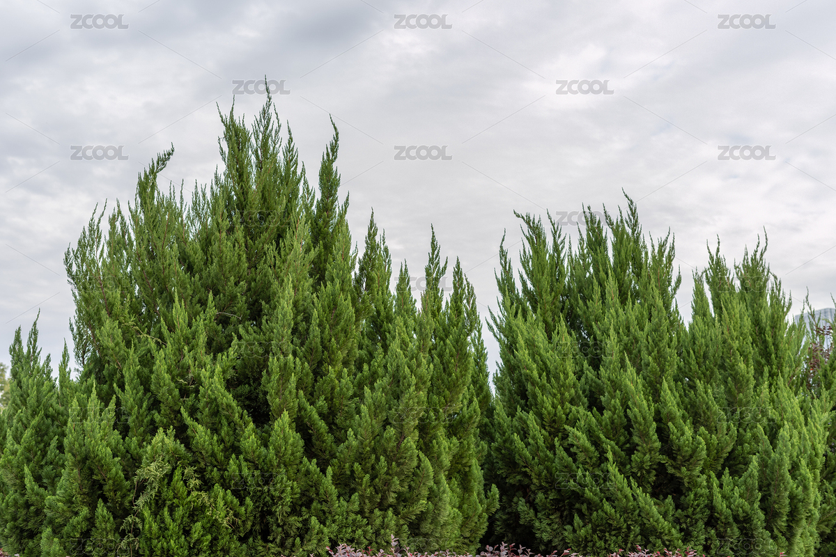 中國(guó)湖南省長(zhǎng)沙市（主預(yù)覽-4690567） - 未分類 - 站酷設(shè)計(jì)師xysphoto原創(chuàng)素材 - 站酷ZCOOL