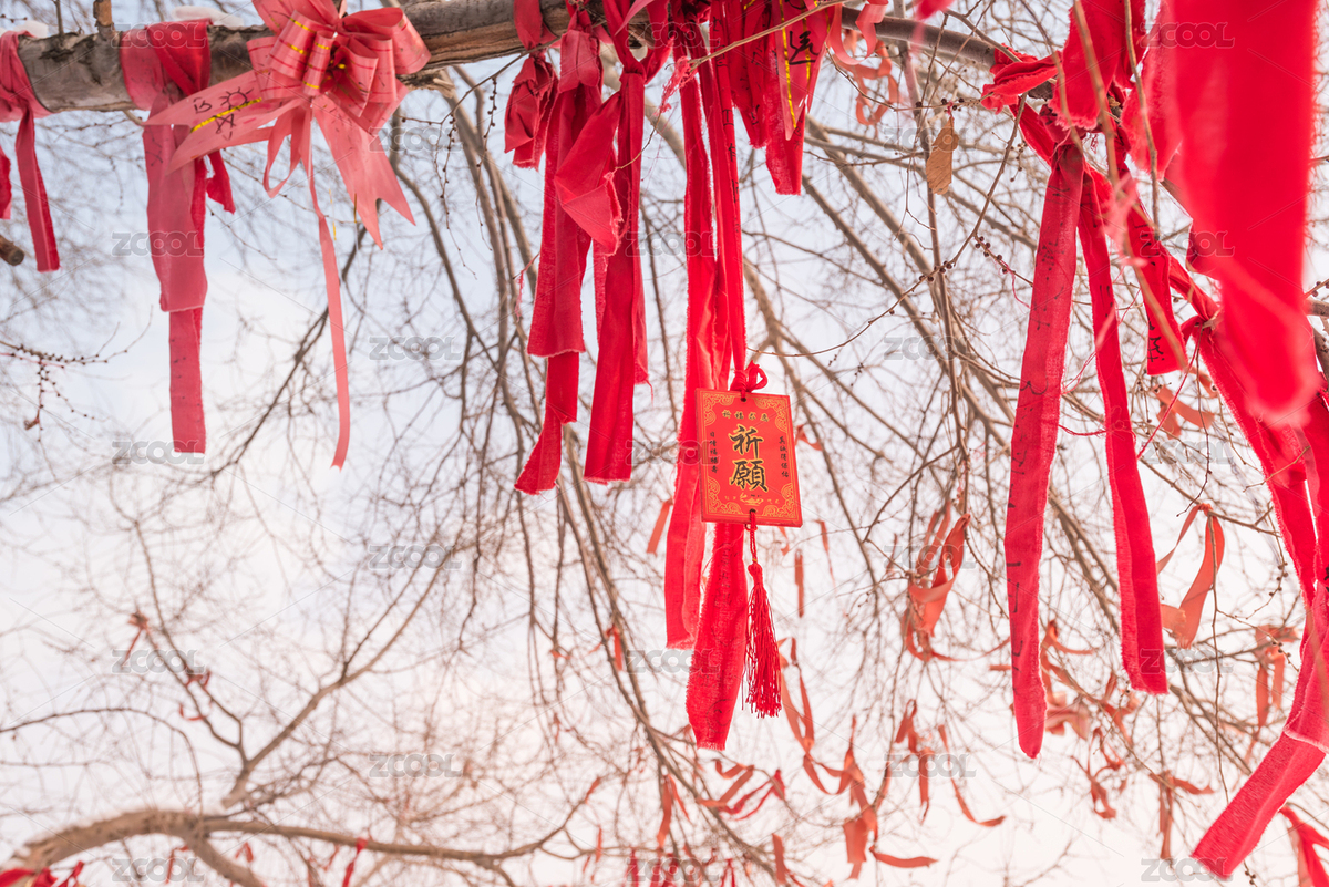 冬季里中國遼寧沈陽公園的一棵大樹上懸掛了很多的祈福牌和紅絲帶（主預(yù)覽-7959032） - 未分類 - 站酷設(shè)計(jì)師zkhlxm原創(chuàng)素材 - 站酷ZCOOL