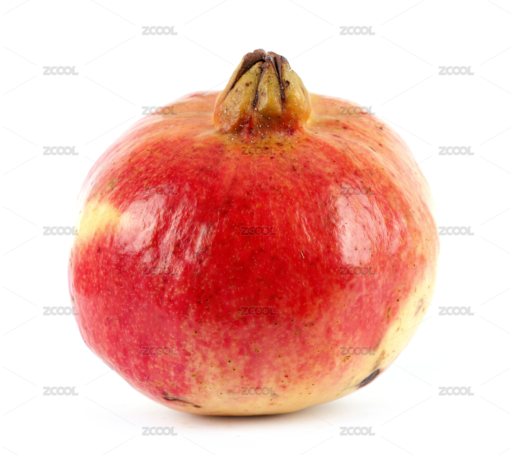 紅石榴（主預(yù)覽-1863987） - 未分類 - 站酷設(shè)計(jì)師小羽怪原創(chuàng)素材 - 站酷ZCOOL