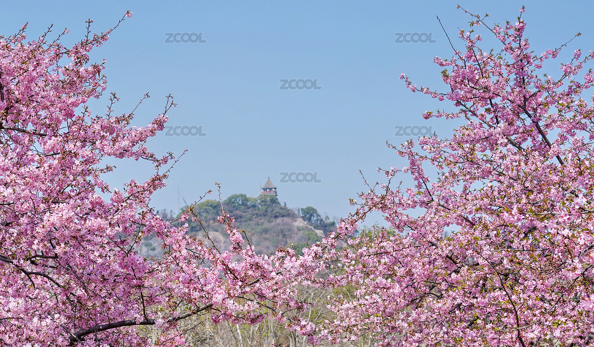 櫻花花框中間一個塔（主預(yù)覽-561120） - 未分類 - 站酷設(shè)計師WangXinyanNG原創(chuàng)素材 - 站酷ZCOOL