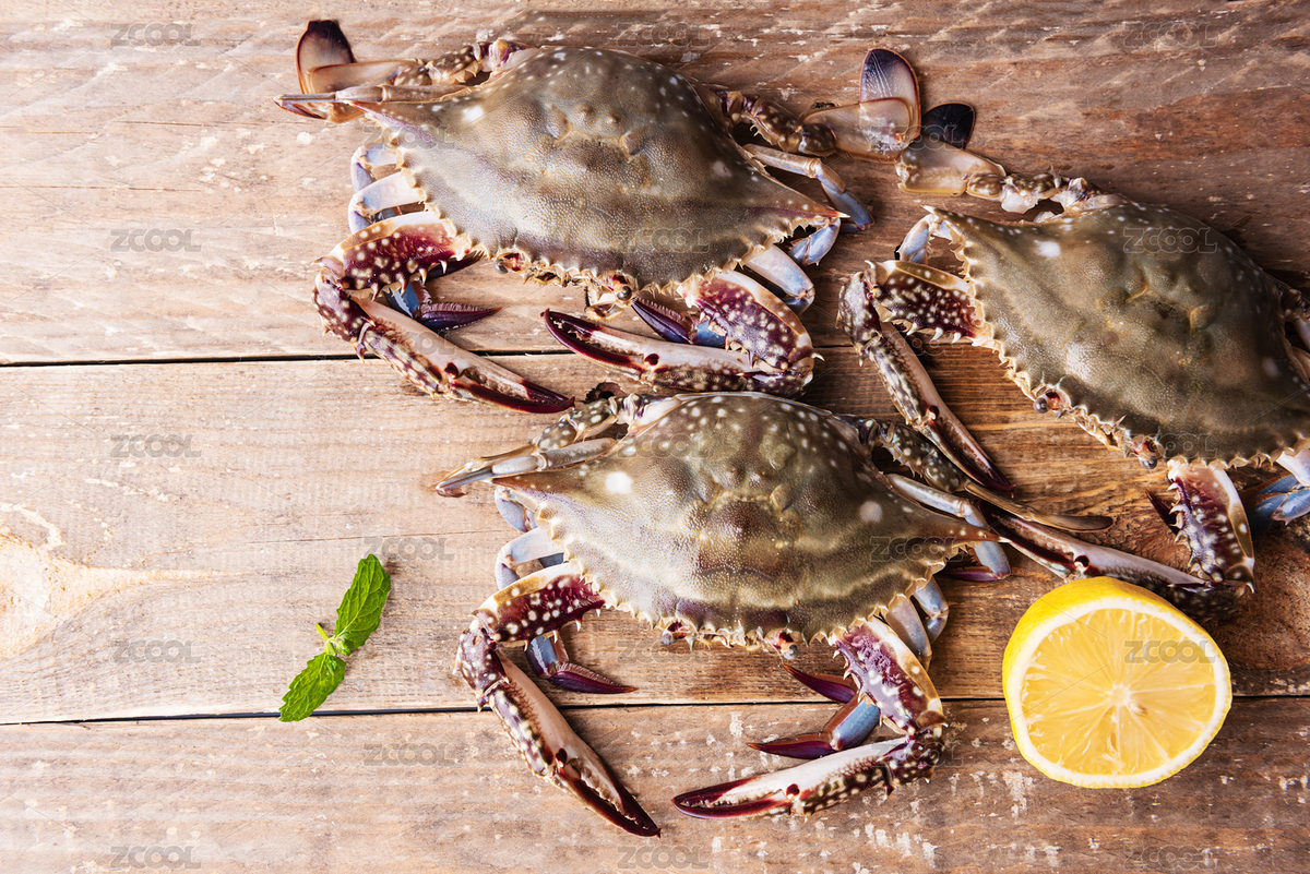 生鮮梭子蟹（主預(yù)覽-280732） - 未分類 - 站酷設(shè)計(jì)師旺旺旅行家原創(chuàng)素材 - 站酷ZCOOL