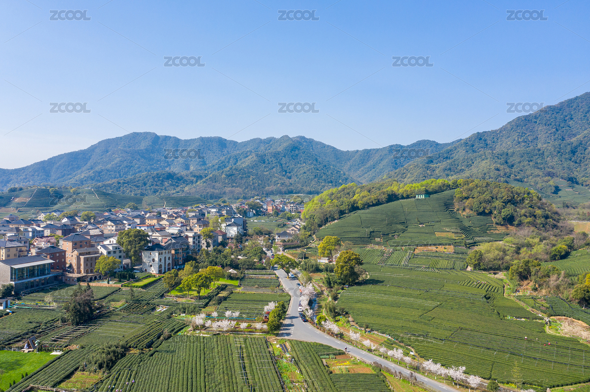 航拍浙江龍塢鎮(zhèn)的龍塢茶園村莊景觀（主預(yù)覽-8171607） - 未分類 - 站酷設(shè)計師張也可_原創(chuàng)素材 - 站酷ZCOOL