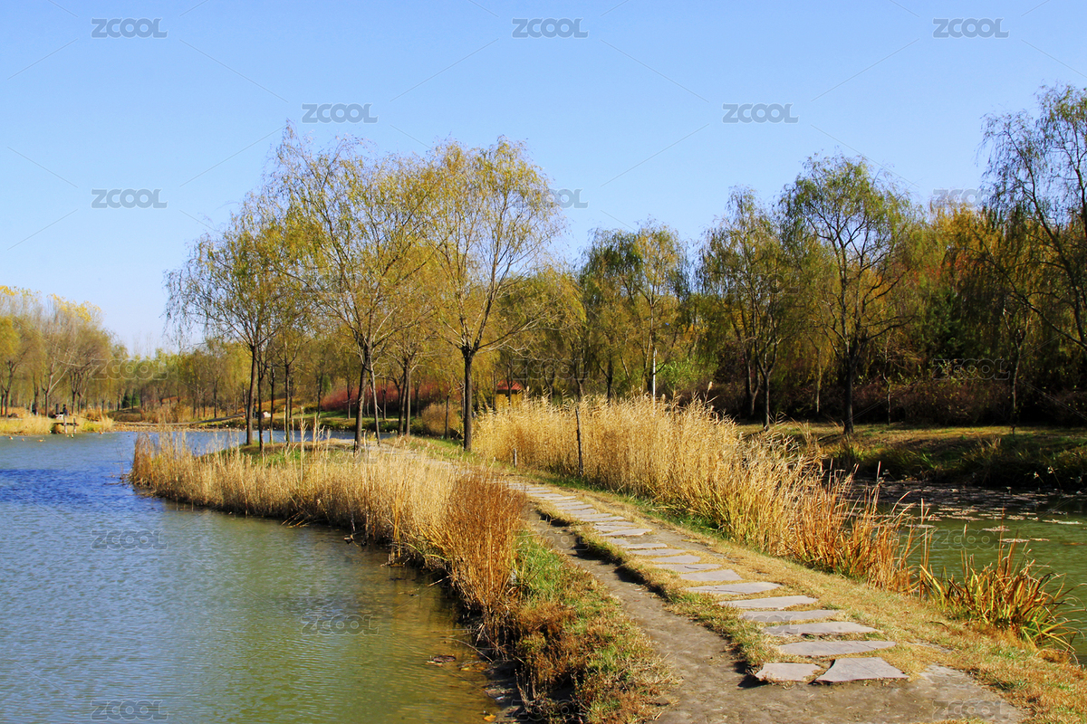湖畔小徑秋景（主預(yù)覽-12229281） - 未分類 - 站酷設(shè)計(jì)師liujunrong原創(chuàng)素材 - 站酷ZCOOL