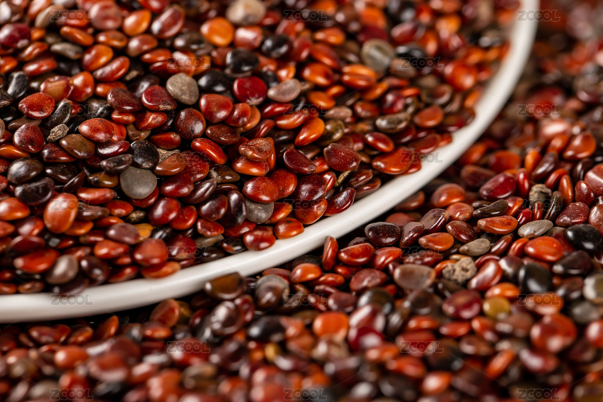 白底背景上的藥材枳椇子（主預(yù)覽-8156393） - 未分類 - 站酷設(shè)計(jì)師眾目攝影設(shè)計(jì)原創(chuàng)素材 - 站酷ZCOOL