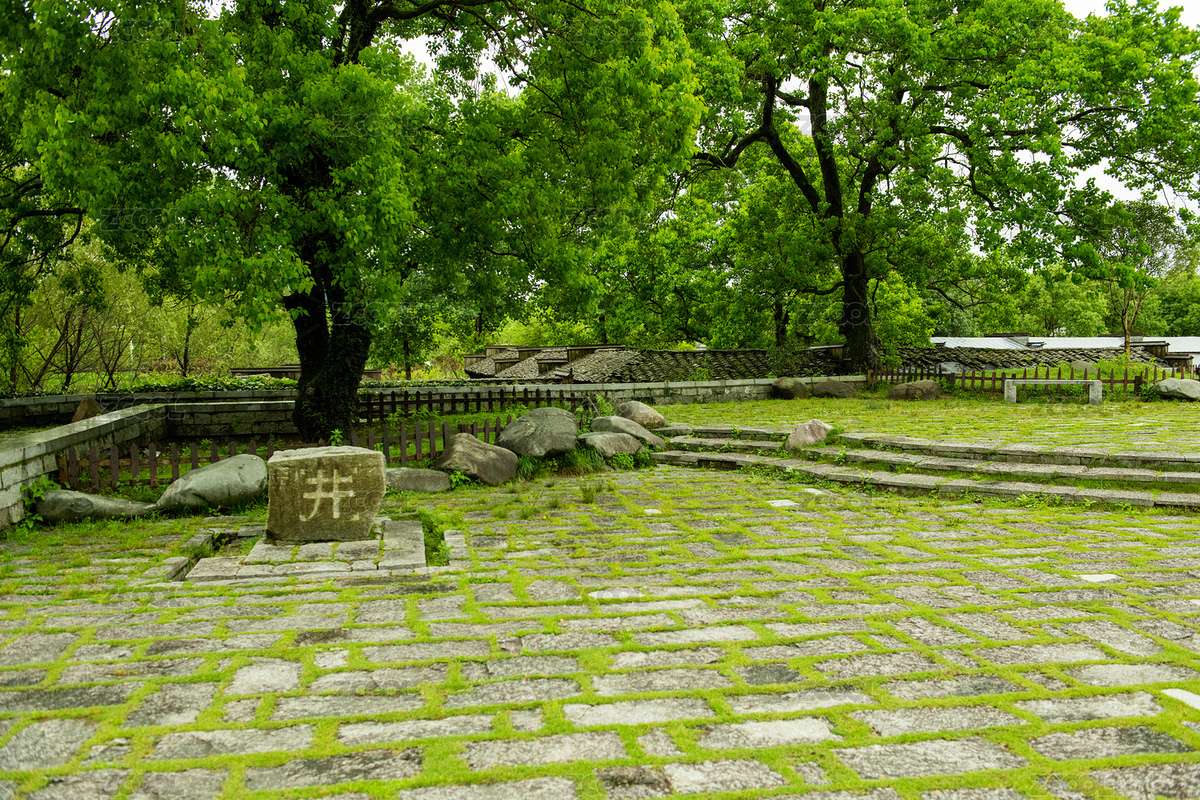 生態(tài)公園（主預(yù)覽-2125464） - 未分類 - 站酷設(shè)計師獨步行攝原創(chuàng)素材 - 站酷ZCOOL