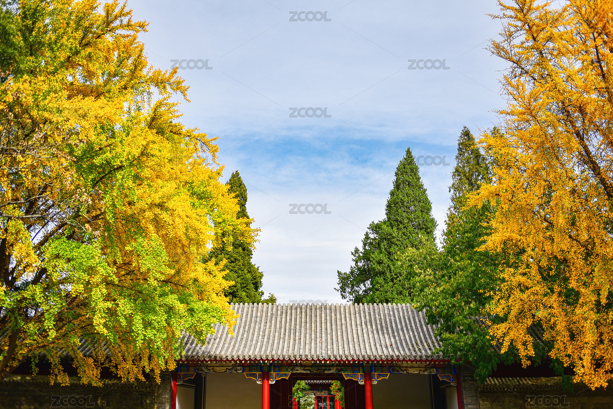 工字廳校園秋季風(fēng)光（主預(yù)覽-5527295） - 未分類(lèi) - 站酷設(shè)計(jì)師ebu003原創(chuàng)素材 - 站酷ZCOOL