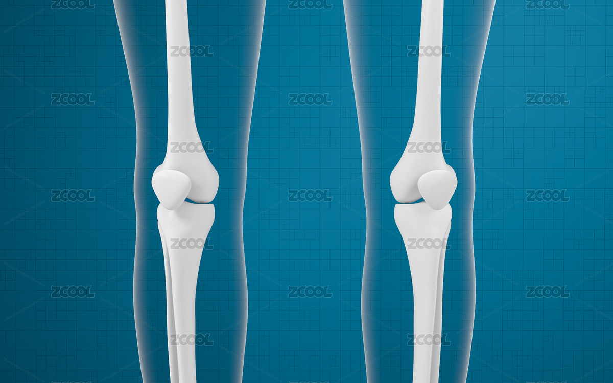 腿部膝蓋骨骼 3D渲染（主預(yù)覽-4198362） - 未分類 - 站酷設(shè)計(jì)師VinkFan原創(chuàng)素材 - 站酷ZCOOL