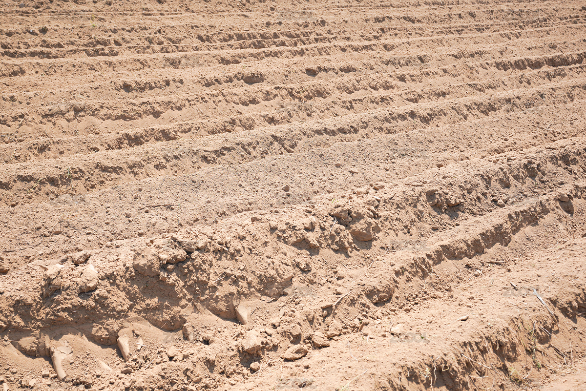 黃土地田地耕地（主預(yù)覽-8087963） - 未分類 - 站酷設(shè)計師安147123原創(chuàng)素材 - 站酷ZCOOL