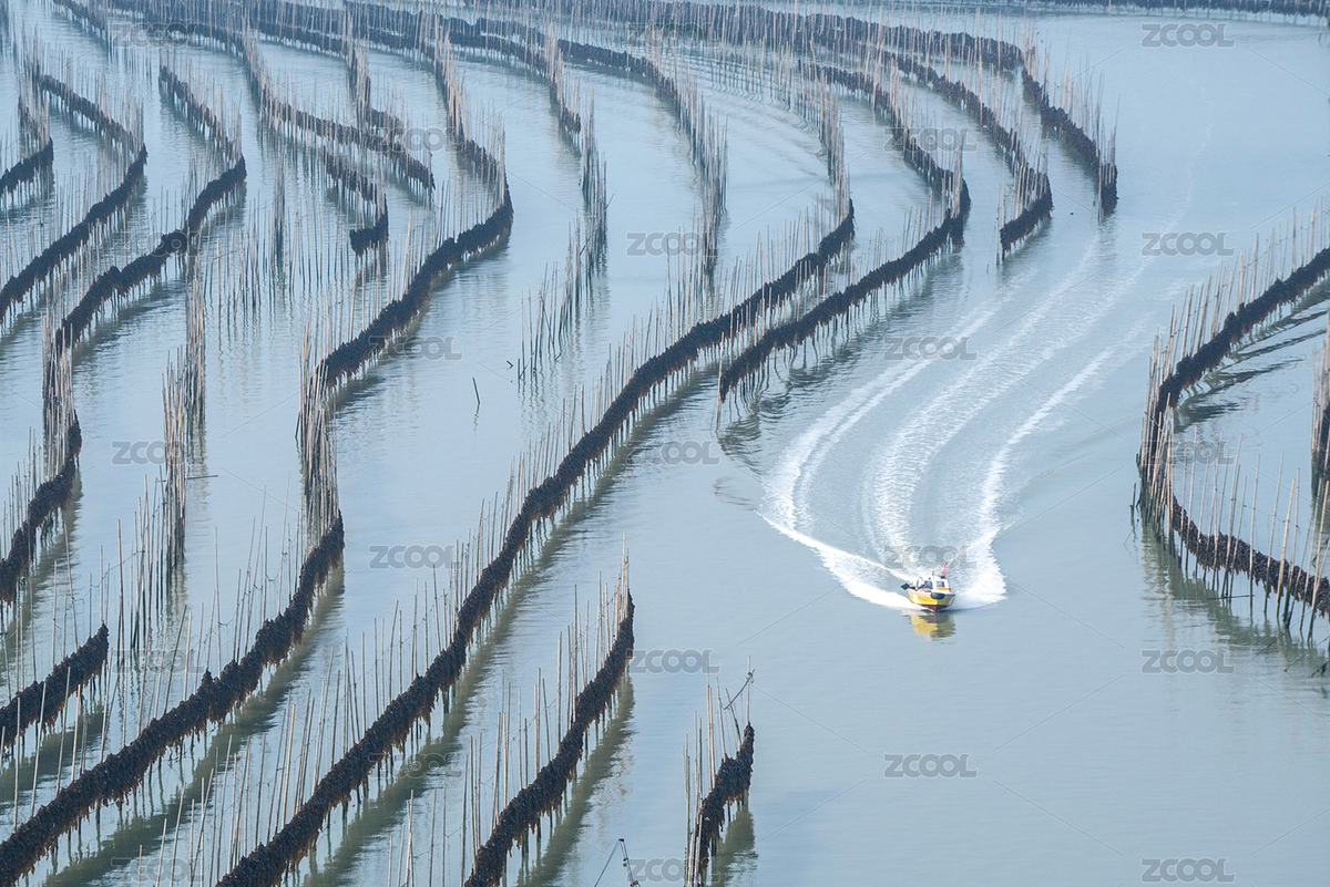 福建霞浦海帶季節(jié)（主預(yù)覽-6378213） - 未分類 - 站酷設(shè)計師張爾顯原創(chuàng)素材 - 站酷ZCOOL
