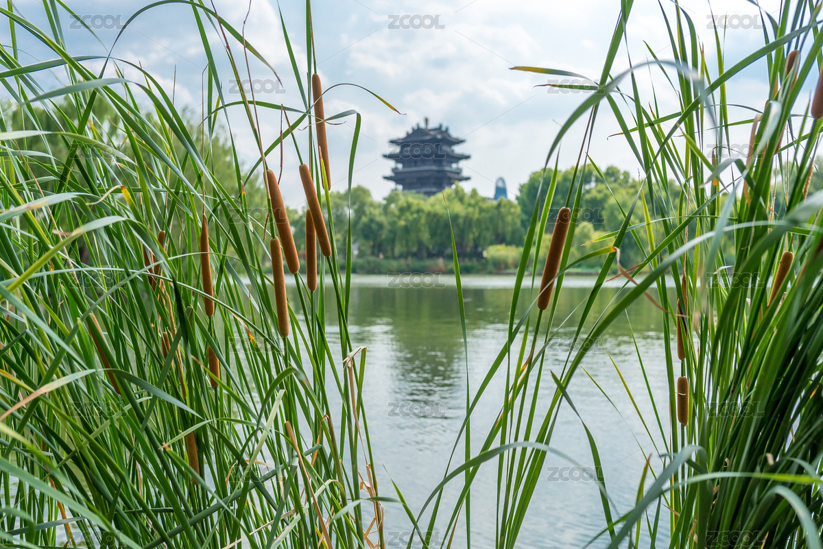 夏季白天中国山东省济南市大明湖超然楼（主预览-1775373） - 未分类 - 站酷设计师giving79原创素材 - 站酷ZCOOL