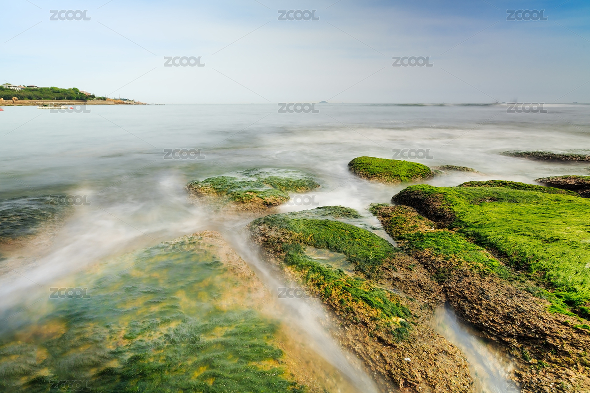 山東青島夏天海灘礁石綠苔蘚（主預(yù)覽-7540805） - 未分類 - 站酷設(shè)計師秋影隨風(fēng)原創(chuàng)素材 - 站酷ZCOOL