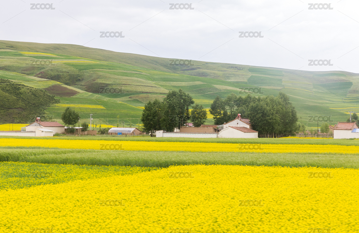 自然风景（主预览-2288019） - 未分类 - 站酷设计师卡诗迪原创素材 - 站酷ZCOOL