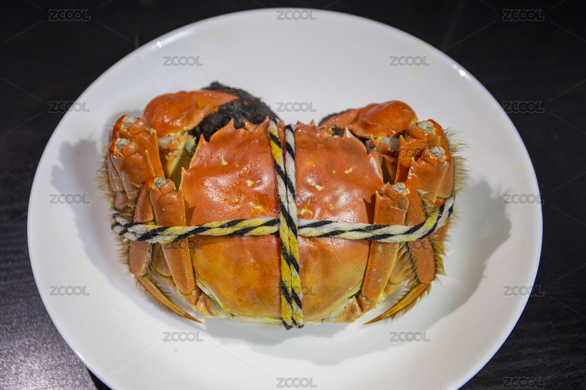 白色盤子上一只捆扎好的熟的大閘蟹（主預(yù)覽-2766744） - 未分類 - 站酷設(shè)計(jì)師游依草原創(chuàng)素材 - 站酷ZCOOL