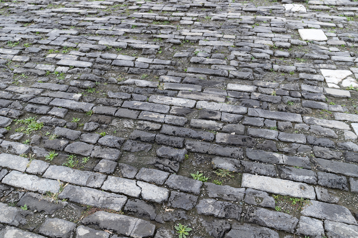 北京故宮灰磚地面（主預(yù)覽-7432825） - 未分類 - 站酷設(shè)計(jì)師未&來原創(chuàng)素材 - 站酷ZCOOL