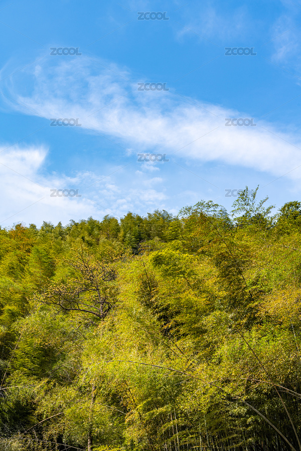 浙江紹興大香林.兜率天景區(qū)景觀龍華寺（主預覽-4469752） - 未分類 - 站酷設計師DreamCont原創(chuàng)素材 - 站酷ZCOOL