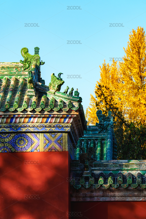 深秋藍天下的地壇宮殿與黃色銀杏樹（主預覽-11331919） - 未分類 - 站酷設計師kemple原創(chuàng)素材 - 站酷ZCOOL