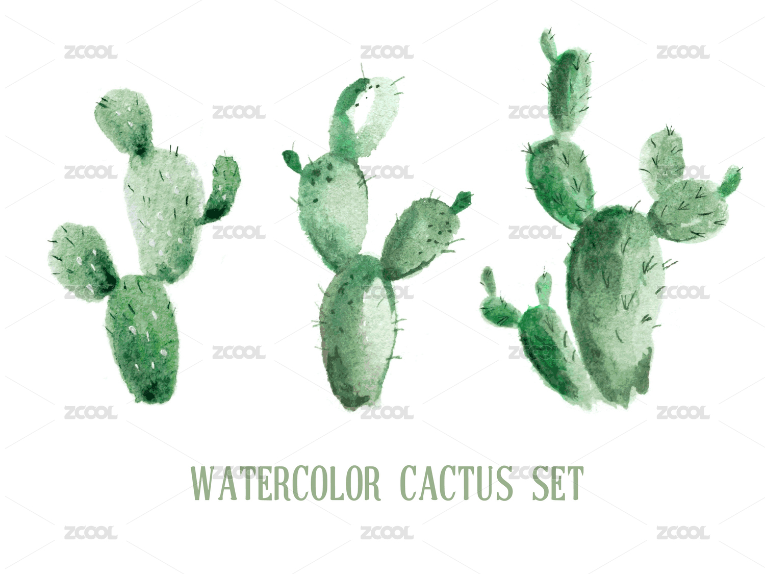 cactus watercolor vector illustration