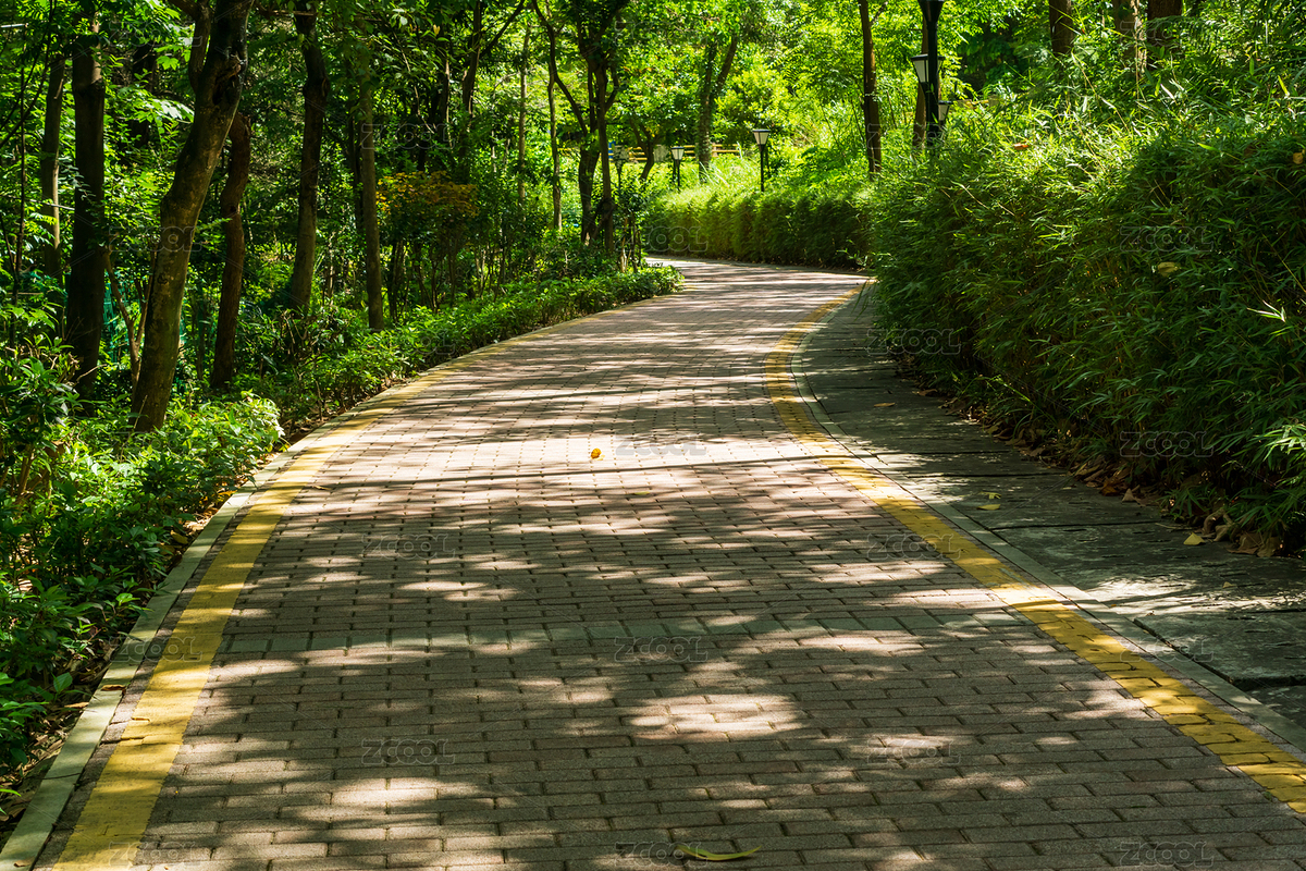 晴朗天氣夏天里的深圳綠道（主預覽-7607451） - 未分類 - 站酷設計師藍色小小原創(chuàng)素材 - 站酷ZCOOL