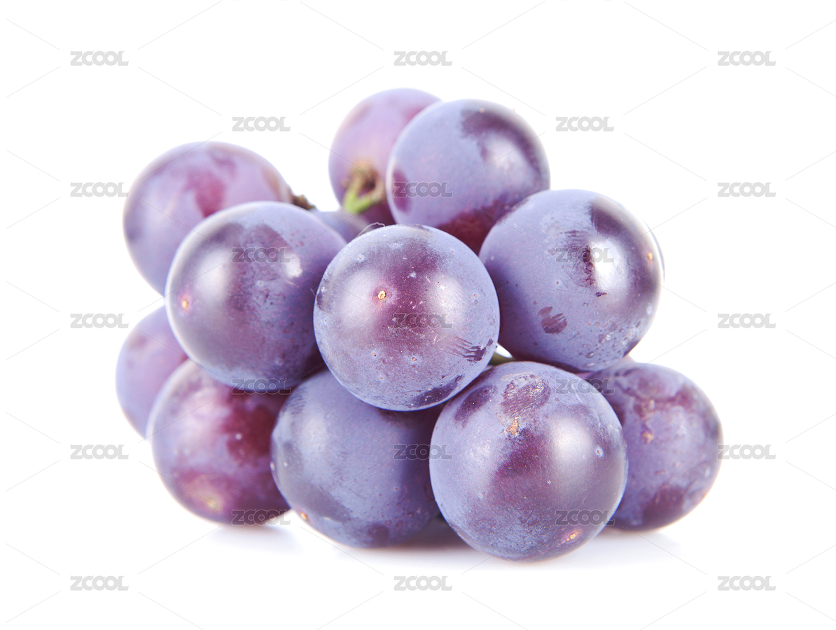 一串紫葡萄（主預覽-9108492） - 未分類 - 站酷設計師小羽怪原創(chuàng)素材 - 站酷ZCOOL