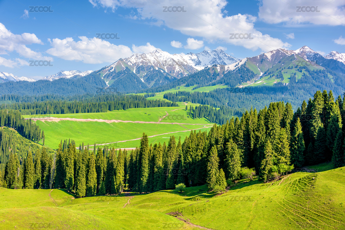 中國(guó)新疆伊犁庫(kù)爾德寧齊夢(mèng)德風(fēng)光（主預(yù)覽-8890069） - 未分類(lèi) - 站酷設(shè)計(jì)師健忘的行攝世界原創(chuàng)素材 - 站酷ZCOOL