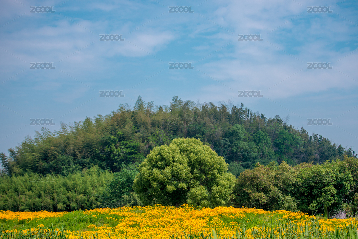 良渚國(guó)家遺址公園風(fēng)光（主預(yù)覽-5856627） - 未分類 - 站酷設(shè)計(jì)師婁影入池塘原創(chuàng)素材 - 站酷ZCOOL