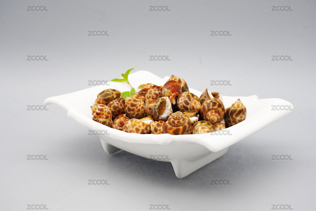 裝在白色色瓷盤里的水產(chǎn)花螺（主預(yù)覽-8374789） - 未分類 - 站酷設(shè)計(jì)師安147123原創(chuàng)素材 - 站酷ZCOOL