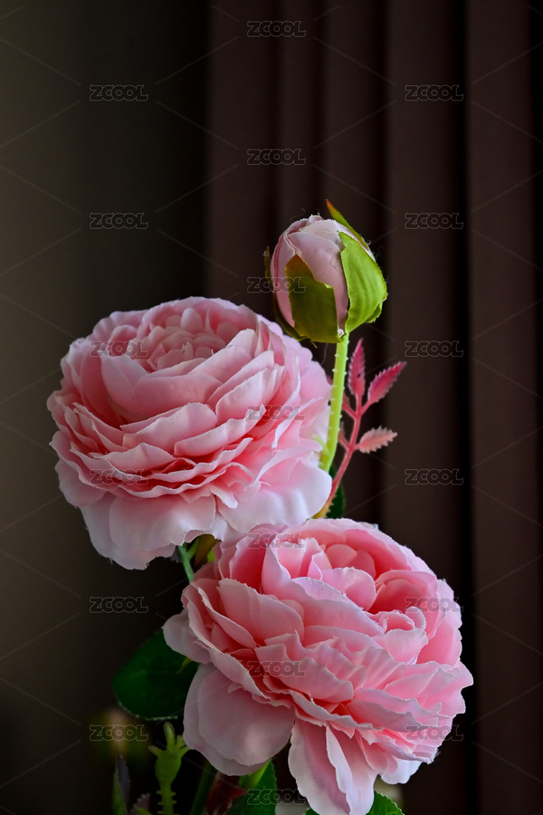 室內(nèi)家居擺設(shè)假花（主預(yù)覽-6558700） - 未分類 - 站酷設(shè)計師夢逍遙168原創(chuàng)素材 - 站酷ZCOOL