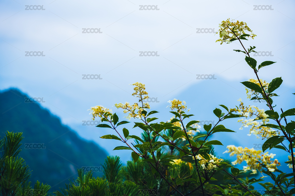 杭州臨安大明山（主預(yù)覽-7576726） - 未分類 - 站酷設(shè)計(jì)師s7RnH26hSg原創(chuàng)素材 - 站酷ZCOOL