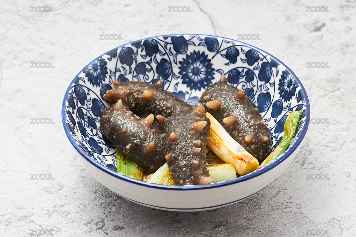 碗里的蔥燒海參（主預(yù)覽-9094624） - 未分類 - 站酷設(shè)計(jì)師春天青蛇原創(chuàng)素材 - 站酷ZCOOL