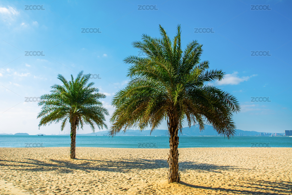 福建廈門白城沙灘風(fēng)光（主預(yù)覽-8176716） - 未分類 - 站酷設(shè)計(jì)師漂泊的行攝之旅原創(chuàng)素材 - 站酷ZCOOL