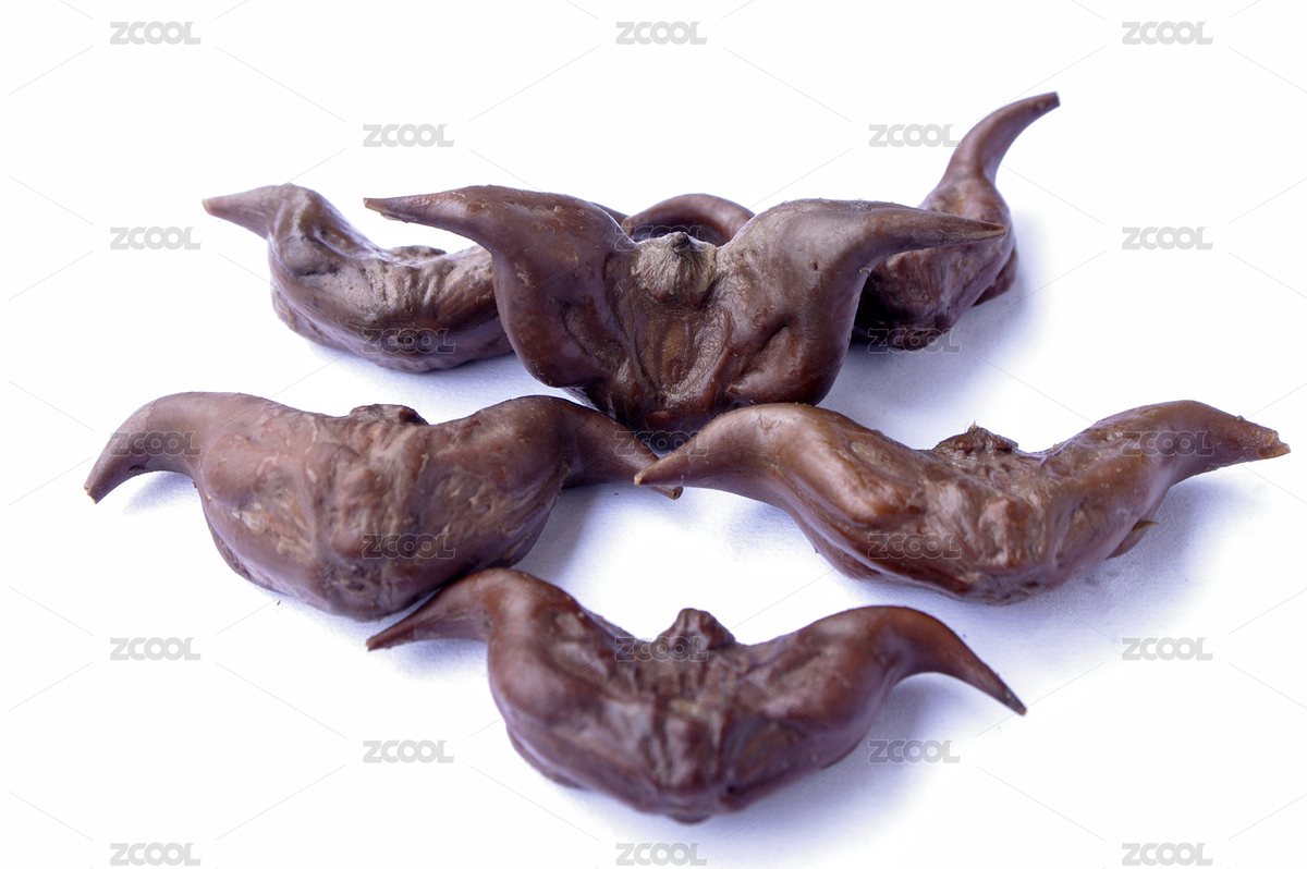 菱角（主預(yù)覽-8368240） - 未分類 - 站酷設(shè)計師wmei5881原創(chuàng)素材 - 站酷ZCOOL