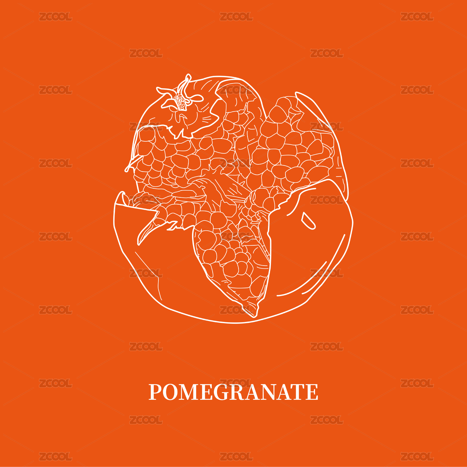 石榴 pomegranate
