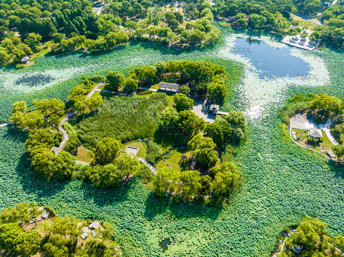 中國江蘇蘇州陽澄湖蓮池湖公園（主預(yù)覽-8896059） - 未分類 - 站酷設(shè)計(jì)師劉劍偉原創(chuàng)素材 - 站酷ZCOOL