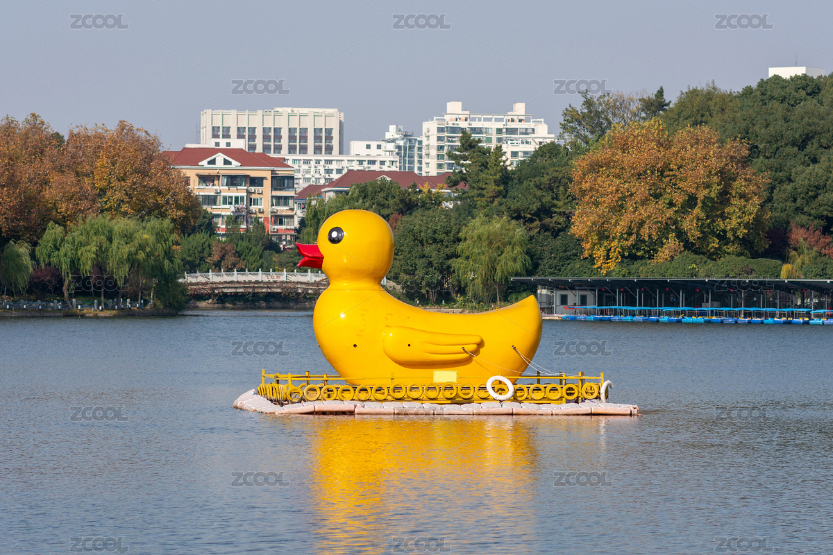 中國上海長風公園湖中的小黃鴨（主預覽-3908014） - 未分類 - 站酷設(shè)計師Paul870214原創(chuàng)素材 - 站酷ZCOOL