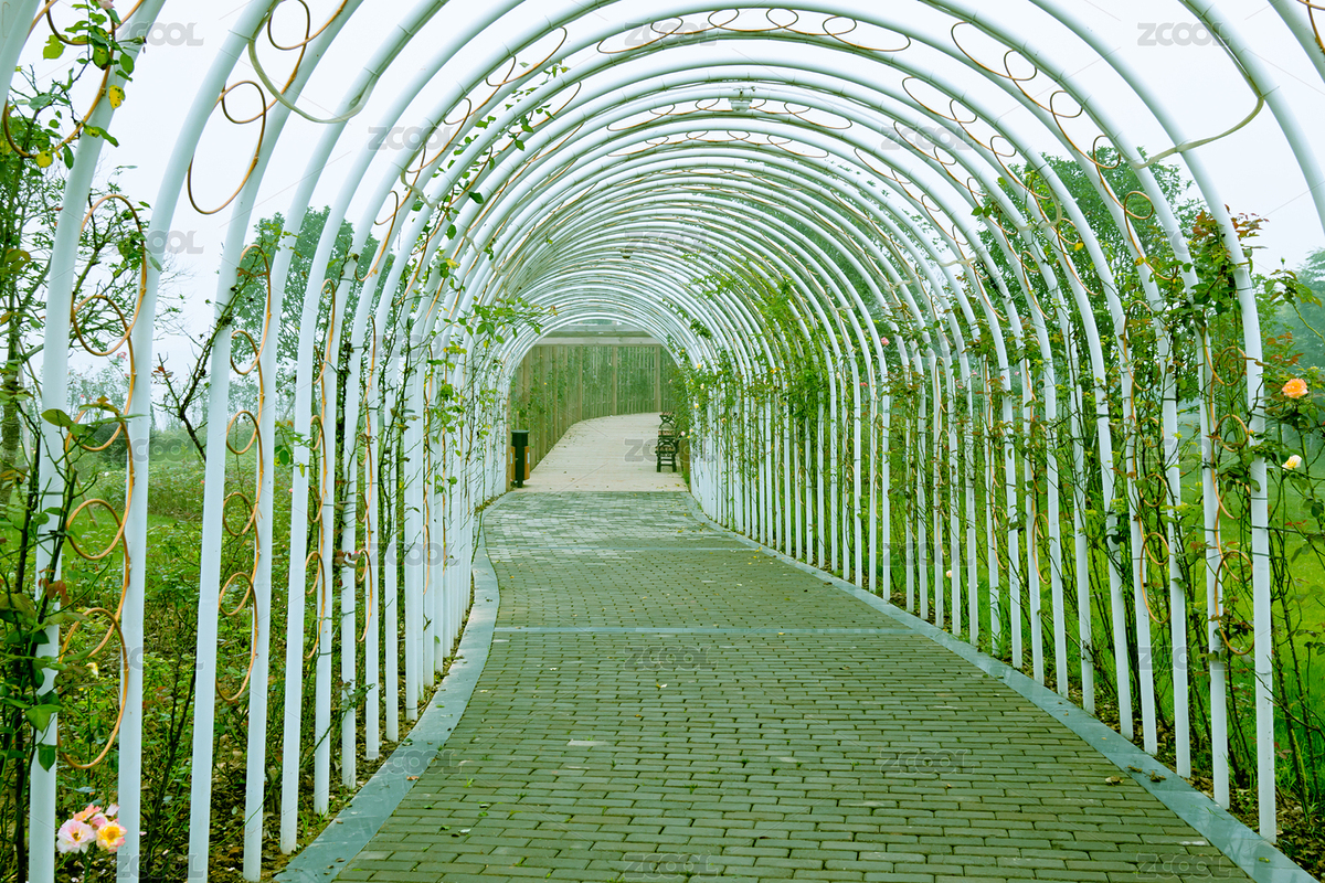 月季园拱门，花园步道（主预览-494655） - 未分类 - 站酷设计师snvv原创素材 - 站酷ZCOOL
