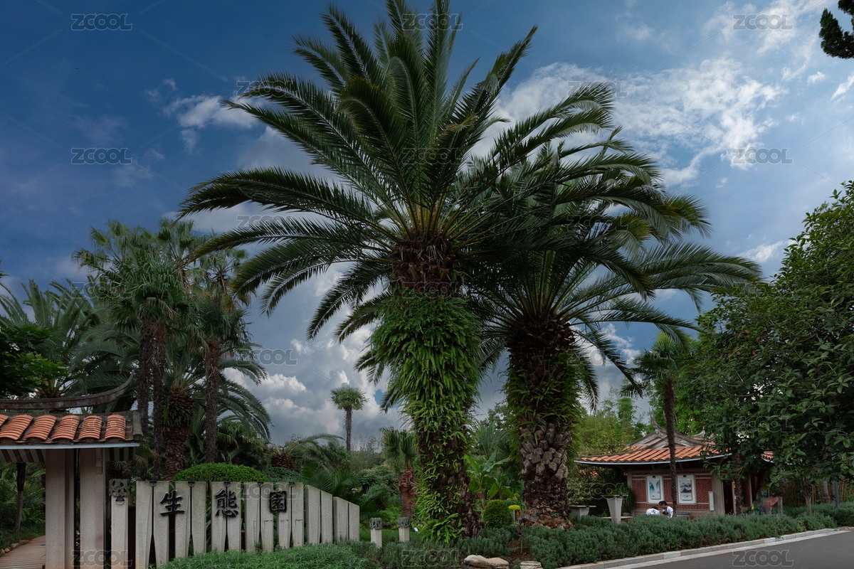 云南昆明世界园艺博览园福建生态园（主预览-4631677） - 未分类 - 站酷设计师原野三月原创素材 - 站酷ZCOOL