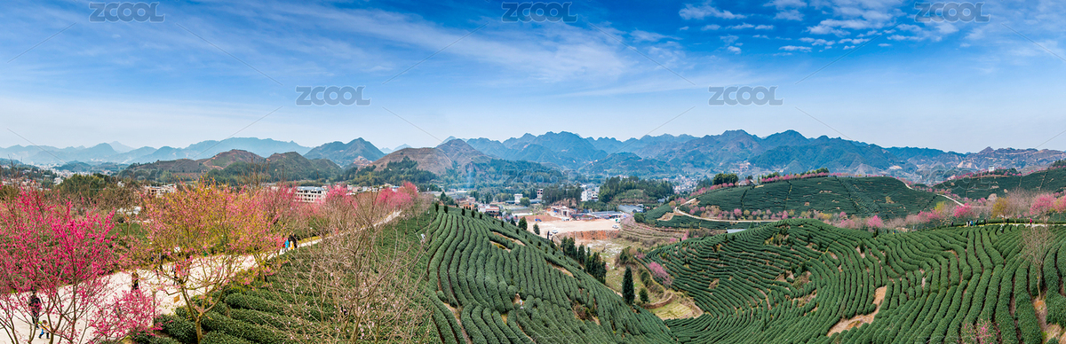 福建省漳平市永福鎮(zhèn)阿里山櫻花園自然環(huán)境（主預(yù)覽-7931954） - 未分類 - 站酷設(shè)計(jì)師贊贊尼原創(chuàng)素材 - 站酷ZCOOL