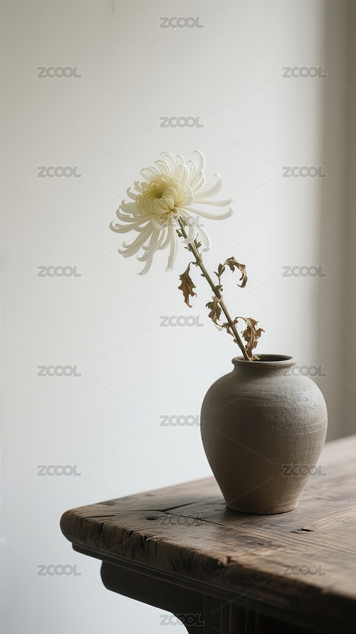 摄影写实重阳节菊花背景（主预览-11470545） - 未分类 - 站酷设计师站酷素材原创素材 - 站酷ZCOOL